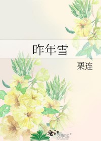 昨年雪小说讲什么