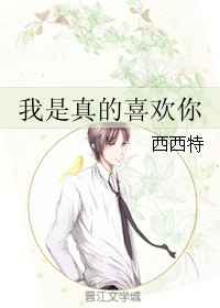 我是真的喜欢你 王杰