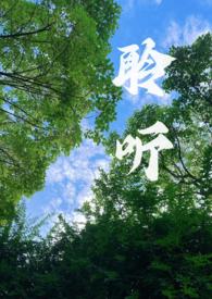 聆听的小说